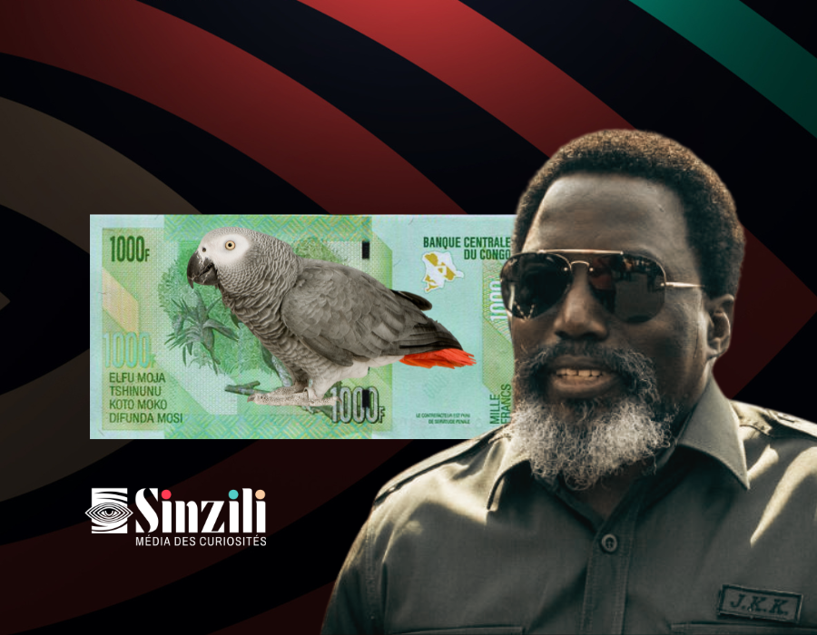 Le jour où Joseph Kabila a sauvé les perroquets gris congolais ...